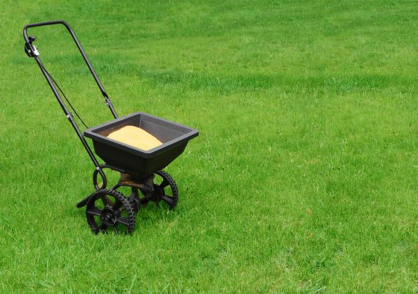 Corpus Christi Lawn Treatment