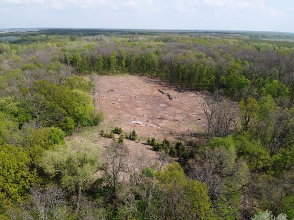 Corpus Christi Land Clearing